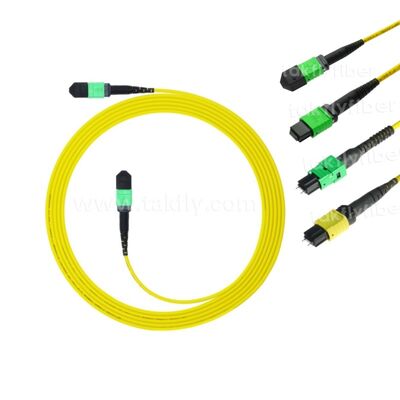 MPO MTP Patchcord SM Trunk Cable 12F Sợi quang cho Trung tâm dữ liệu AI Telecom FTTX Cable