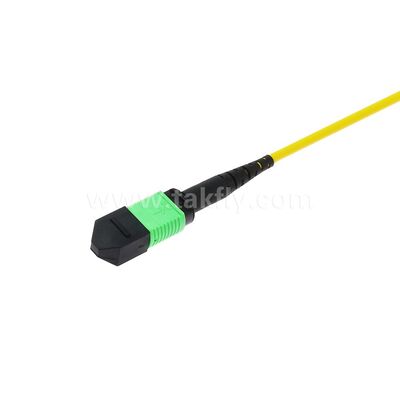 MPO MTP Patchcord SM Trunk Cable 12F Sợi quang cho Trung tâm dữ liệu AI Telecom FTTX Cable