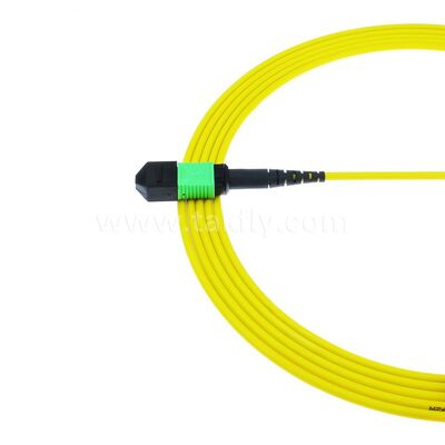 MPO MTP Patchcord SM Trunk Cable 12F Sợi quang cho Trung tâm dữ liệu AI Telecom FTTX Cable