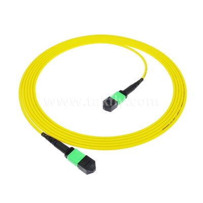 MPO MTP Patchcord SM Trunk Cable 12F Sợi quang cho Trung tâm dữ liệu AI Telecom FTTX Cable