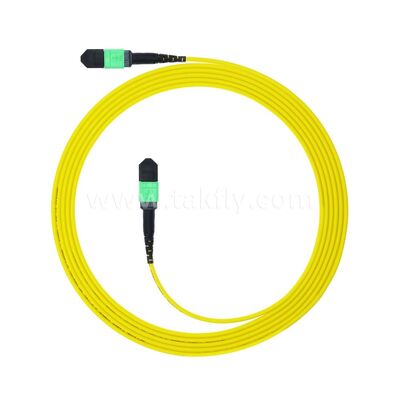 MPO MTP Patchcord SM Trunk Cable 12F Sợi quang cho Trung tâm dữ liệu AI Telecom FTTX Cable