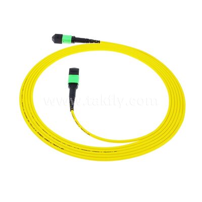 MPO MTP Patchcord SM Trunk Cable 12F Sợi quang cho Trung tâm dữ liệu AI Telecom FTTX Cable