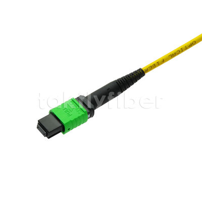 MPO MTP Patchcord SM Trunk Cable 12F Sợi quang cho Trung tâm dữ liệu AI Telecom FTTX Cable
