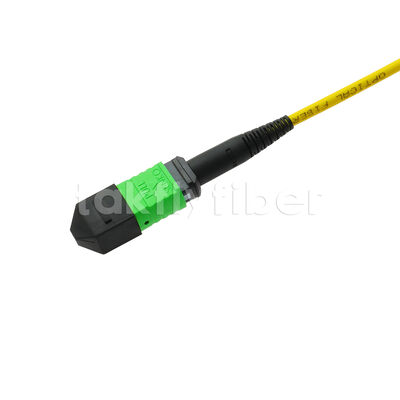 MPO MTP Patchcord SM Trunk Cable 12F Sợi quang cho Trung tâm dữ liệu AI Telecom FTTX Cable