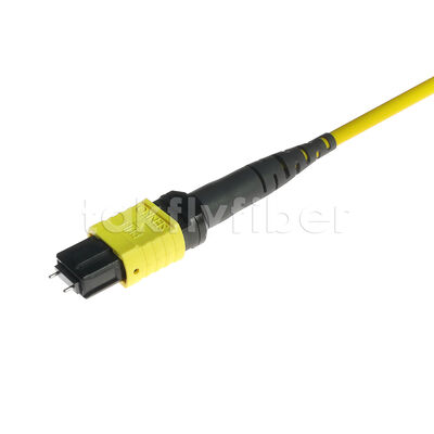 MPO MTP Patchcord SM Trunk Cable 12F Sợi quang cho Trung tâm dữ liệu AI Telecom FTTX Cable