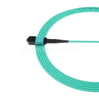 MPO MTP Patchcord MM OM3 Cáp thân 12F Sợi quang cho Trung tâm dữ liệu AI Cáp viễn thông