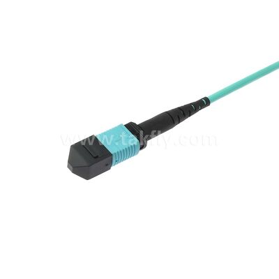 MPO MTP Patchcord MM OM3 Cáp thân 12F Sợi quang cho Trung tâm dữ liệu AI Cáp viễn thông