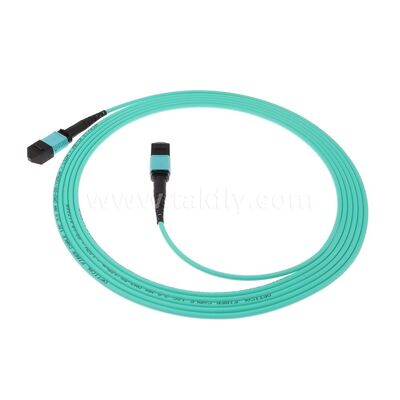 MPO MTP Patchcord Multimode OM3 Trunk Cable 12F Sợi quang cho Trung tâm dữ liệu AI Telecom Cabling