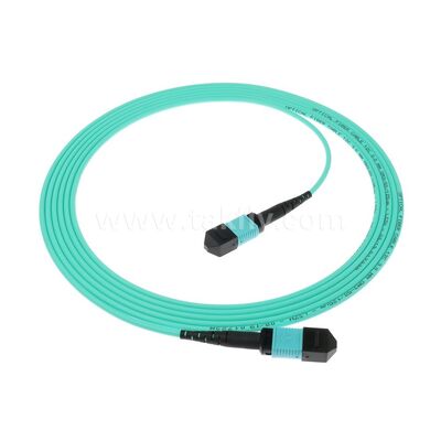MPO MTP Patchcord MM OM3 Cáp thân 12F Sợi quang cho Trung tâm dữ liệu AI Cáp viễn thông