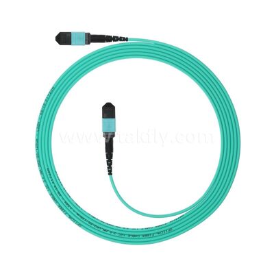 MPO MTP Patchcord Multimode OM3 Trunk Cable 12F Sợi quang cho Trung tâm dữ liệu AI Telecom Cabling