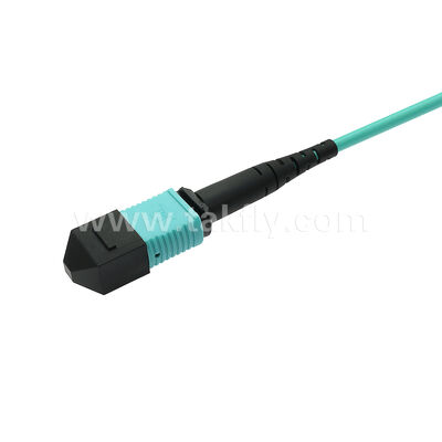 MPO MTP Patchcord Multimode OM3 Trunk Cable 12F Sợi quang cho Trung tâm dữ liệu AI Telecom Cabling