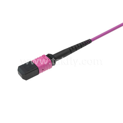 MPO MTP Patchcord Multimode OM4 Trunk Cable 24F Sợi quang cho Trung tâm dữ liệu AI Telecom Cabling