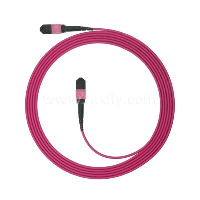 MPO MTP Patchcord Multimode OM4 Trunk Cable 24F Sợi quang cho Trung tâm dữ liệu AI Telecom Cabling