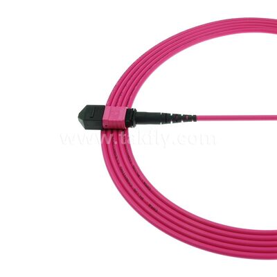 MPO MTP Patchcord Multimode OM4 Trunk Cable 24F Sợi quang cho Trung tâm dữ liệu AI Telecom Cabling