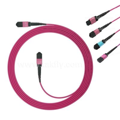 MPO MTP Patchcord Multimode OM4 Trunk Cable 12F Sợi quang cho Trung tâm dữ liệu AI Telecom Cabling