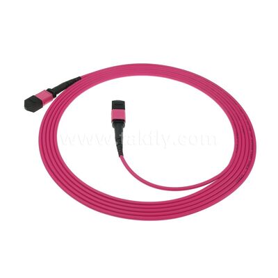 MPO MTP Patchcord Multimode OM4 Trunk Cable 12F Sợi quang cho Trung tâm dữ liệu AI Telecom Cabling