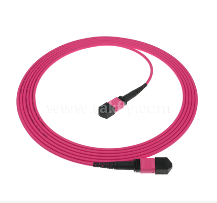 MPO/MTP OM4 Patch Cord  ¢ Kết nối đa chế độ mật độ cao cho các trung tâm dữ liệu thế hệ tiếp theo