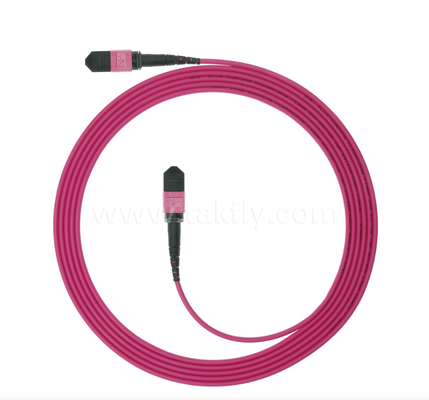MPO/MTP OM4 Patch Cord ¢ Kết nối đa chế độ mật độ cao cho các trung tâm dữ liệu thế hệ tiếp theo