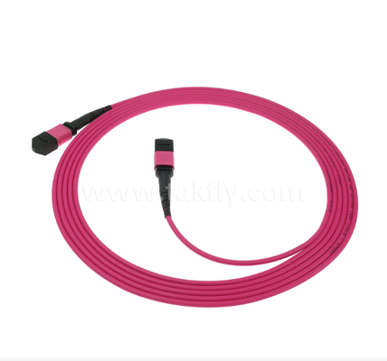MPO/MTP OM4 Patch Cord ¢ Kết nối đa chế độ mật độ cao cho các trung tâm dữ liệu thế hệ tiếp theo