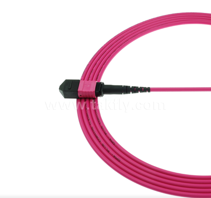 MPO/MTP OM4 Patch Cord ¢ Kết nối đa chế độ mật độ cao cho các trung tâm dữ liệu thế hệ tiếp theo