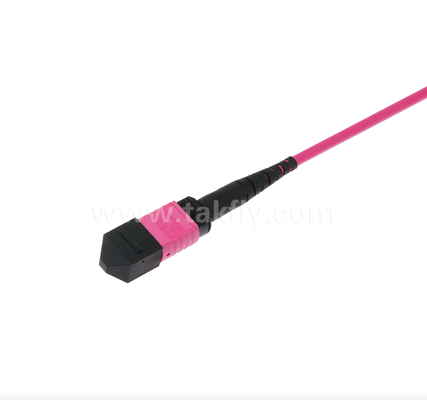 MPO/MTP OM4 Patch Cord ¢ Kết nối đa chế độ mật độ cao cho các trung tâm dữ liệu thế hệ tiếp theo