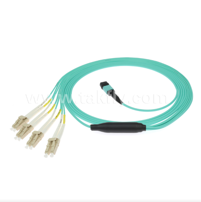 MPO/MTP-LC Breakout Patch Cord. Giải pháp cáp quang đa lõi mật độ cao
