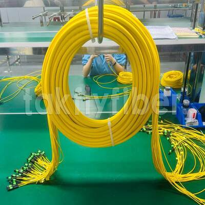 Dây vá MPO/MTP Takfly 8/12/24 sợi lên đến 576 sợi Suy hao thấp 500 chu kỳ kết nối Tuân thủ IEC & TIA