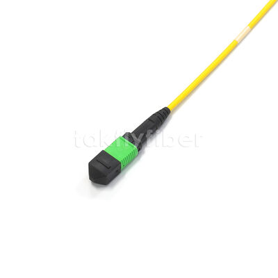 Cáp Trunk MPO Amphenol Tùy chỉnh 288 Sợi Suy hao chèn Tối đa 0.35dB Singlemode OS2 cho Trung tâm dữ liệu