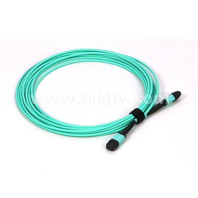 Cáp quang sợi đa chế độ 12/24 lõi Mpo Mtp Om3 cho ứng dụng trung tâm dữ liệu