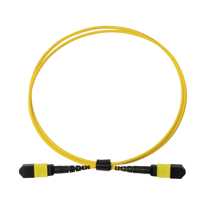Plenum OFNP MPO Patch Cord 1m 3ft MTP-12 APC nữ đến MTP-12 APC nữ chế độ đơn OS2