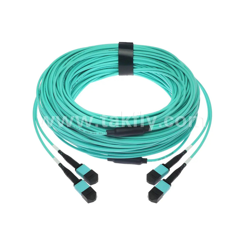24 lõi MTP Trunk Cable Fiber Optic Jumper cho trung tâm dữ liệu FTTX PVC tùy chỉnh