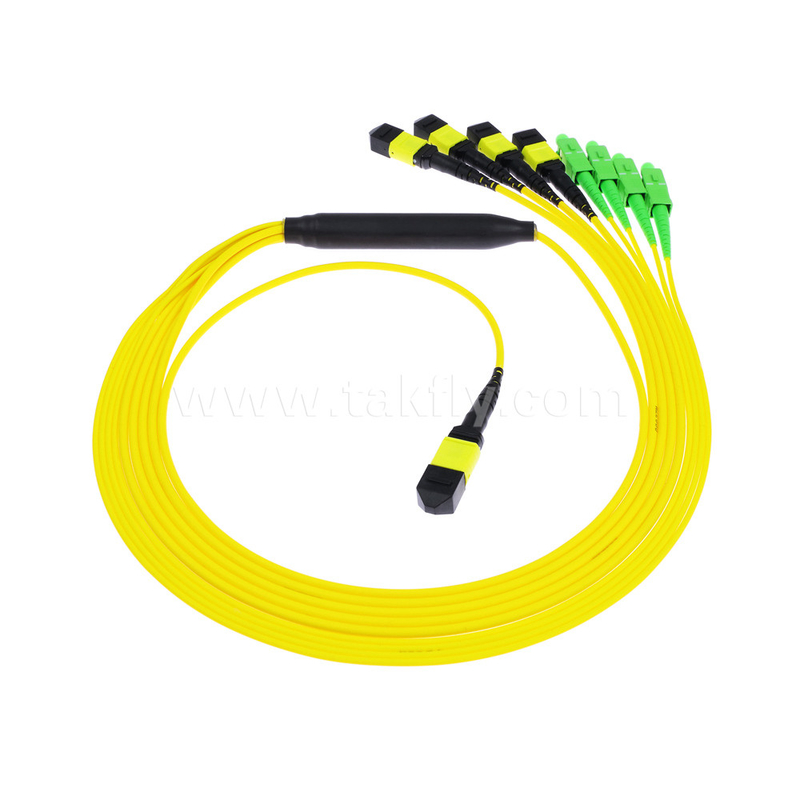 Không cần MTP Trunk Cable MPO/MTP SC/LC/FC/ST/MPO Fiber Optic Cable cho trung tâm dữ liệu