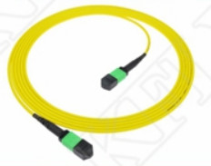 2m 7ft MTP Patch Cord Plenum OFNP MPO Patch Cord Cable 3.0mm MTP 12F APC nữ Elite