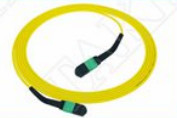 MTP-12 APC Phụ nữ đến MTP-12 APC Phụ nữ Đơn chế độ OS2 Plenum OFNP Loại A MPO dây dán