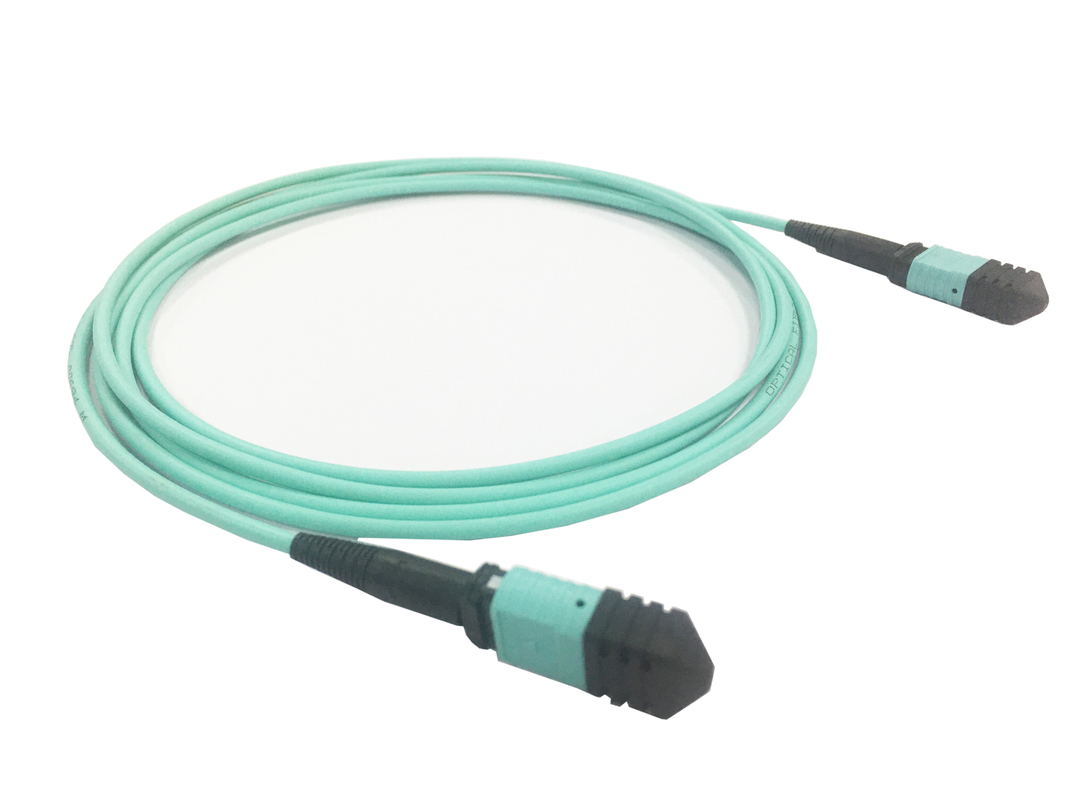 Elite Multimode OM3 50/125, Plenum OFNP Type B MPO Patch Cord 3m 10ft MTP-12 PC nữ đến MTP-12 PC nữ