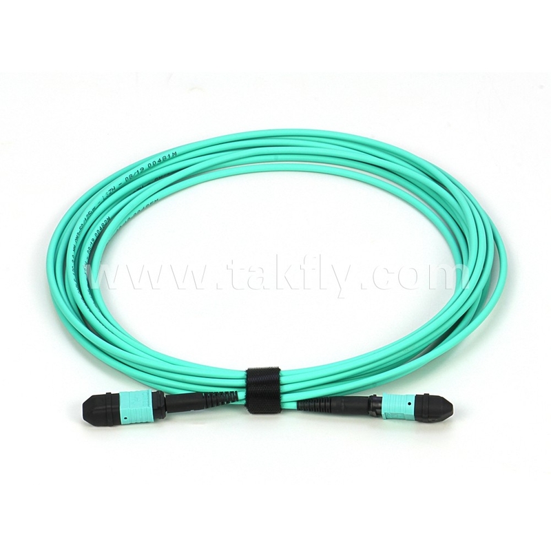 Elite Multimode OM3 50/125 Plenum OFNP Type B MPO Patch Cord 30m 100ft MTP-12 PC nữ đến MTP-12 PC nữ