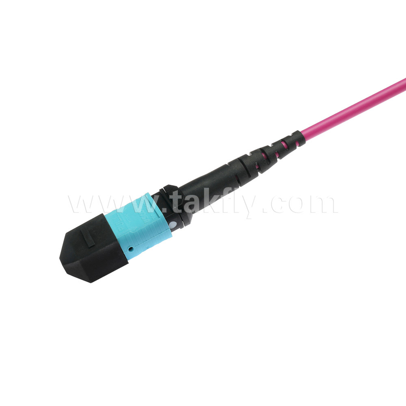 Elite Multimode OM4 50/125, Plenum OFNP Type B MPO dây dán 3m 10ft MTP-12 PC nữ đến MTP-12 PC nữ