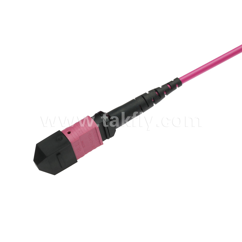 Elite Multimode OM4 50/125, Plenum OFNP Type B MPO Patch Cord 5m 16ft MTP-12 PC nữ đến MTP-12 PC nữ