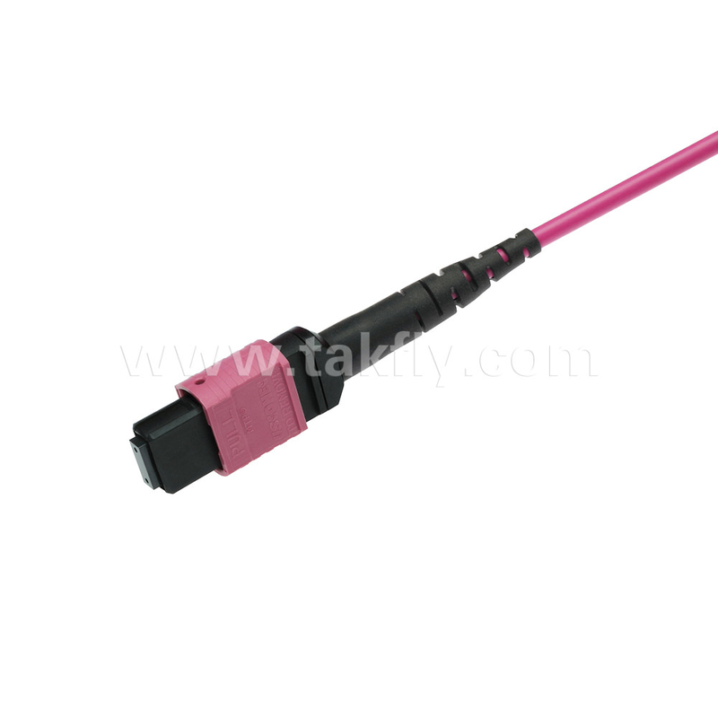 Elite Multimode OM4 50/125 Plenum OFNP Type B MPO Patch Cord 3.0mm Cable 10m 33ft MTP-12 PC nữ đến MTP-12 PC nữ