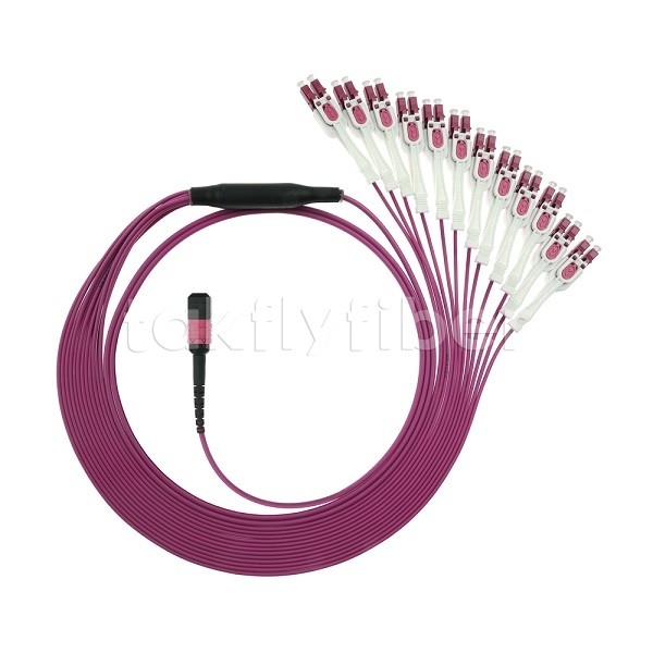 24F MTP 12x LC DX Uniboot OM4 Fiber Patch Cord cho mạng tốc độ cao
