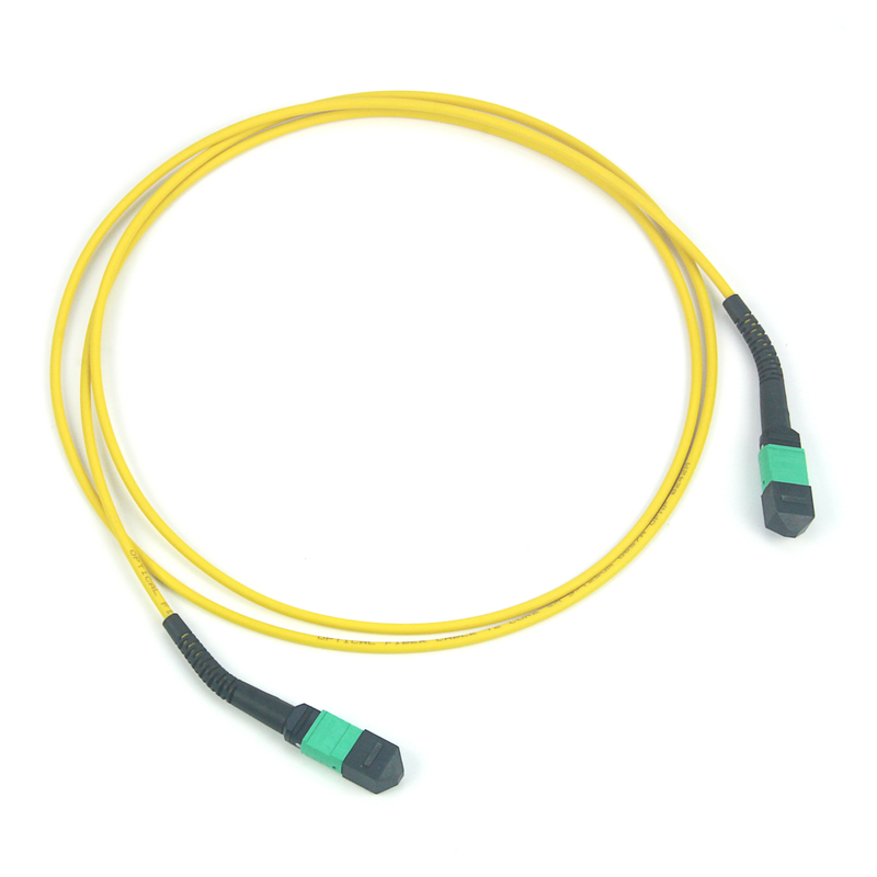 12/24/48/96/144 lõi LC SC FC MPO MTP Trunk Cable Jumper Fiber Optic Patchcord
