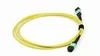 MPO-MPO Fiber Patch Cord cho trung tâm dữ liệu 8-24 Core