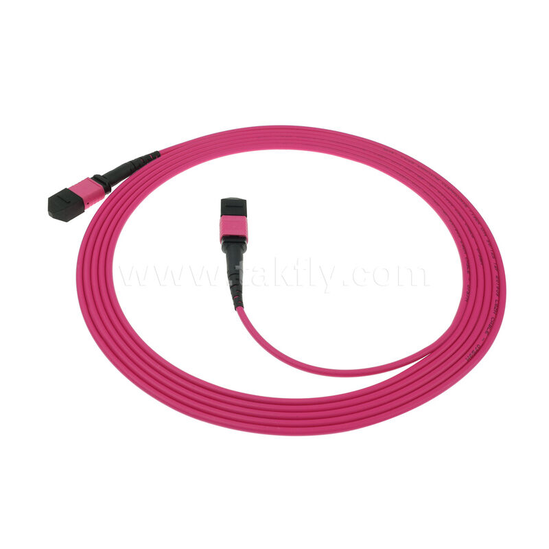 MM Multimode OM4 MPO MTP nam nữ 8F 12F 16F 24F Fiber Optic Patchcord / Cáp vá sợi quang / Cáp cắt quang / Cáp thân sợi quang với áo khoác bên ngoài PVC LSZH OFNR OFNP