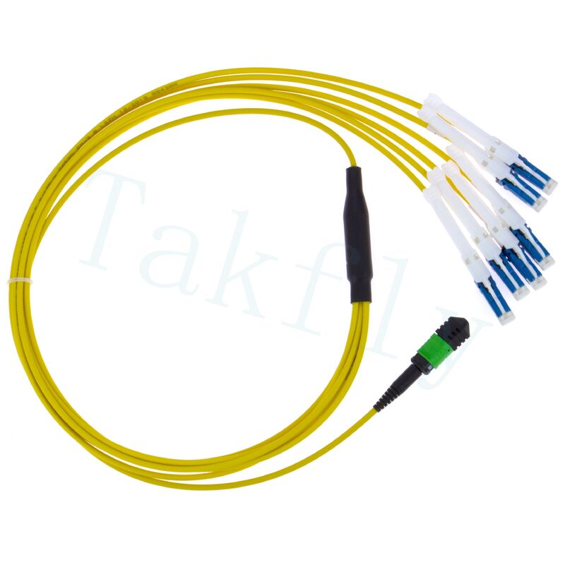 MPO đến CS Breakout Patch Cord ¢ Giải pháp mật độ cao cho 400G / 800G Data Center Interconnects