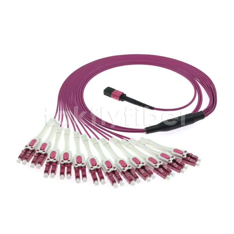 OM4 MPO đến LC Uniboot 1-to-24 Breakout Patch Cord UPC Multimode Loss Low