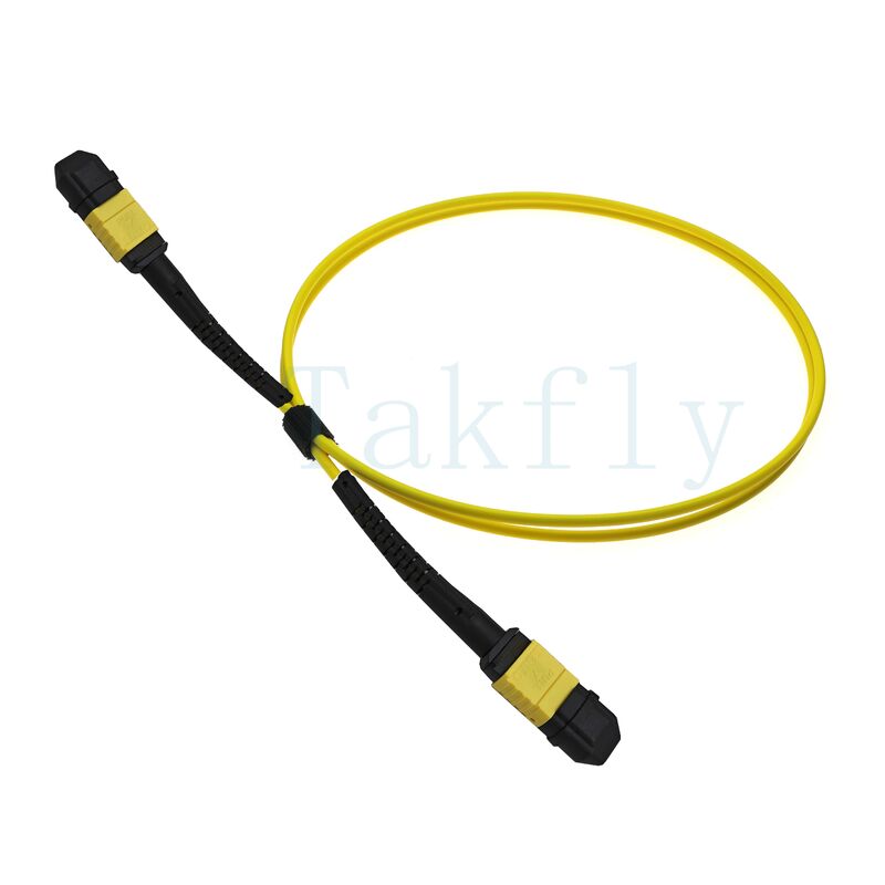 12-Core MPO APC Fanout Patch Cord