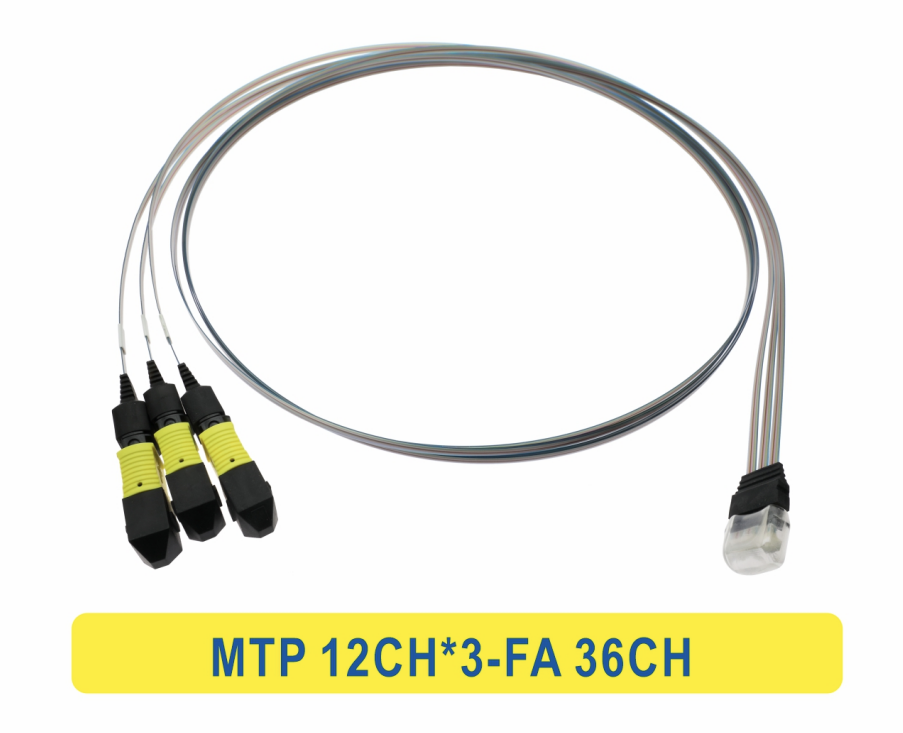 3 * 12F MTP đến 36CH FA Fiber Array Cable Fiber Optic Patchcord