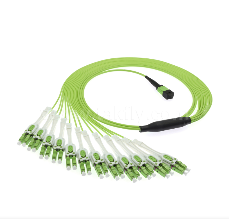Dây nối đột phá MPO/MTP đến LC Uniboot - OM5 Multimode, 1×24, Đầu nối Uniboot LC tiết kiệm không gian, dành cho Trung tâm dữ liệu mật độ cao & các ứng dụng 40G/100G/400G