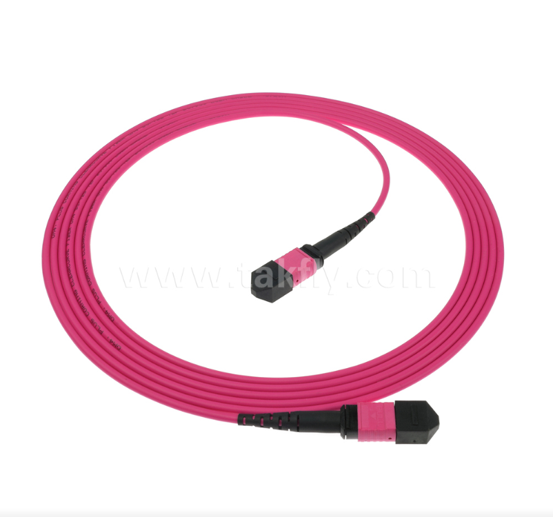 MPO/MTP OM4 Patch Cord ¢ Kết nối đa chế độ mật độ cao cho các trung tâm dữ liệu thế hệ tiếp theo