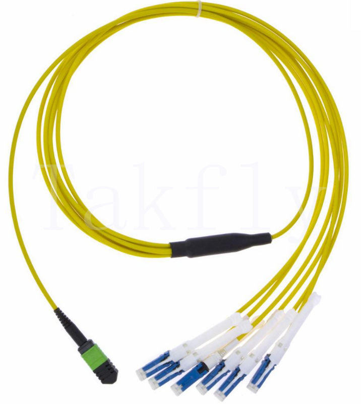MPO đến CS Breakout Patch Cord  ¢ High-Density Multi-fiber đến CS Uniboot, 4/8/12/16/24F, Mức mất tích chèn thấp cho Trung tâm dữ liệu